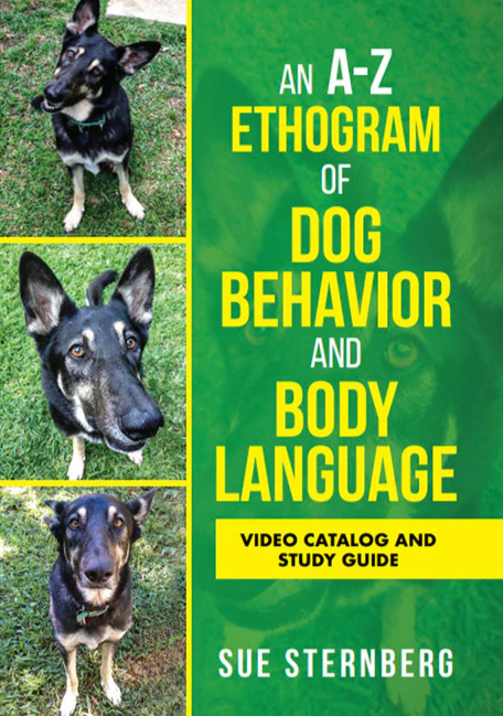 dogs body language